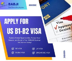 visa assistance services