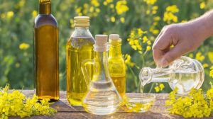 Refined Canola Oil