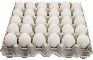 Fresh Table Eggs