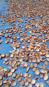 Dried Copra Coconut