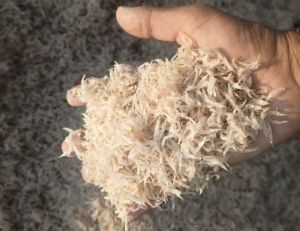 Dried Baby Shrimp