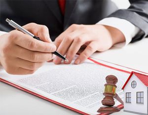 Property Legal Consultant