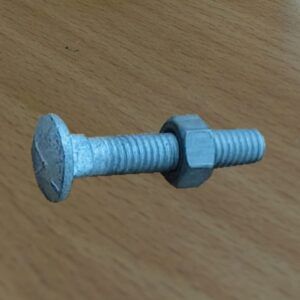 Carriage Bolts with Nuts