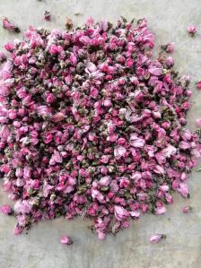 Dried pink rose petals