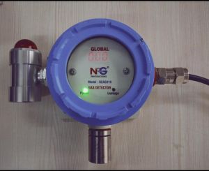 DIGITAL GAS DETECTOR WITH FLASHER (HYDROGEN_ AMMONIA_PNG_LPG)