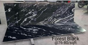 Forest Black Granite Slab