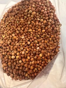 Pigeon pea (Red)