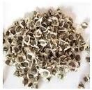 Moringa Seed