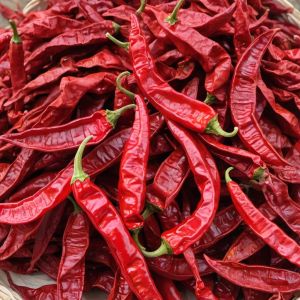 Dried Chillies