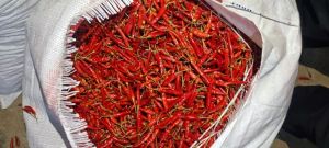 Dry Red Chilli For Spices