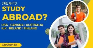 abroad study consultancy