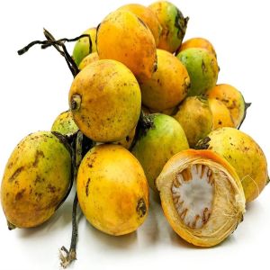 Fresh Yellow Betel Nuts