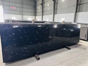 Fish Black Granite Slab