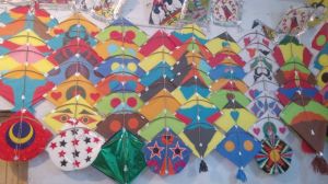 kites indian