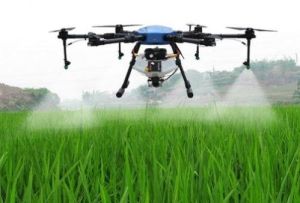 Crop Pesticide Spraying Service