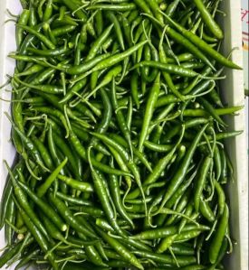 Best Green Chilli