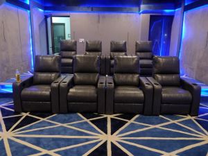 Home Theater Floor Carpet