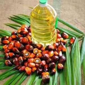 palm oil