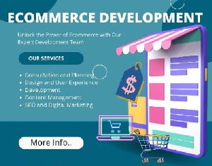 Ecommerce Web  Development Services