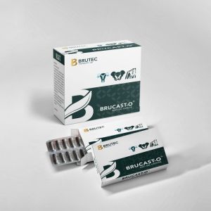 brucast-o softgel capsules