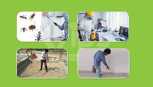 pest control services