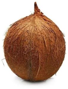 Whole Brown Coconut