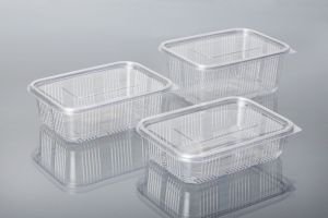 600 CC PET HINGED CONTAINERS
