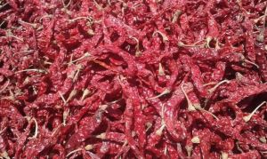 Dry Red Chilli