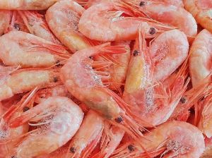 Frozen Red Prawn