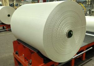 Greige Tire Cord Fabric