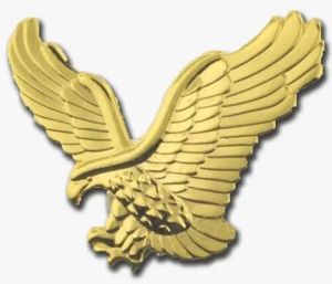 Eagle Brass Lapel Pin