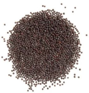 Black Mustard Seeds