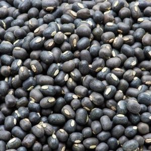 Black Urad Dal