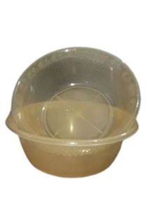 Transparent Plastic Container with Lid