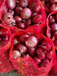 Organic Fresh Red Onion For Human Consumption