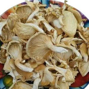 Dry Oyester Mushroom