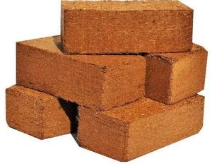 Cow Dung Bricks