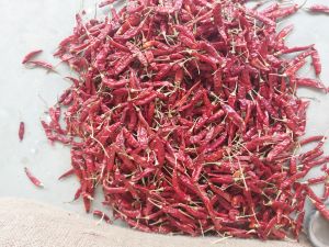 344 dried red chili