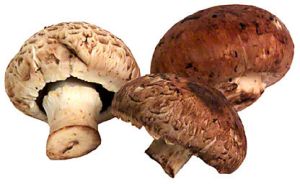 cremini mushroom