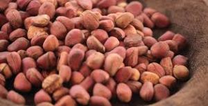 Kola Nuts