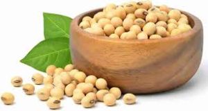 Nature Powder VOLOCI Soya Bean Seeds For Flour, Cooking, Beverage Drinks, Human Consumption, Animal Feed