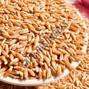 Durum Wheat