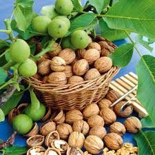 kashmir walnuts