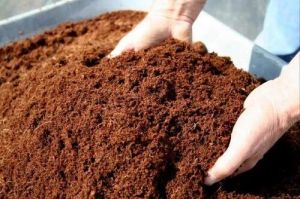 40Kg Vermicompost Fertilizer