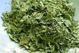 Dried Coriander Leaves