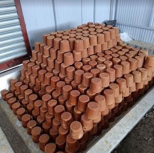 Organic Jaggery Blocks