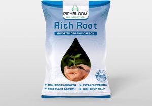 Rich Root