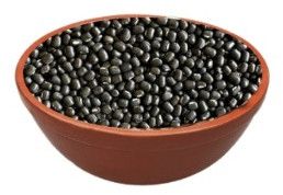 Richbloom Black Gram Seeds