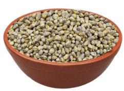 Richbloom Fodder Premium Bajra Seeds