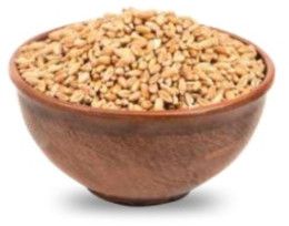 Richbloom Wheat Seeds